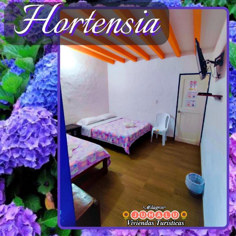 ᒍᑌᕼᗩᒪᑌ Hotel Jericoc  Bilik gambar