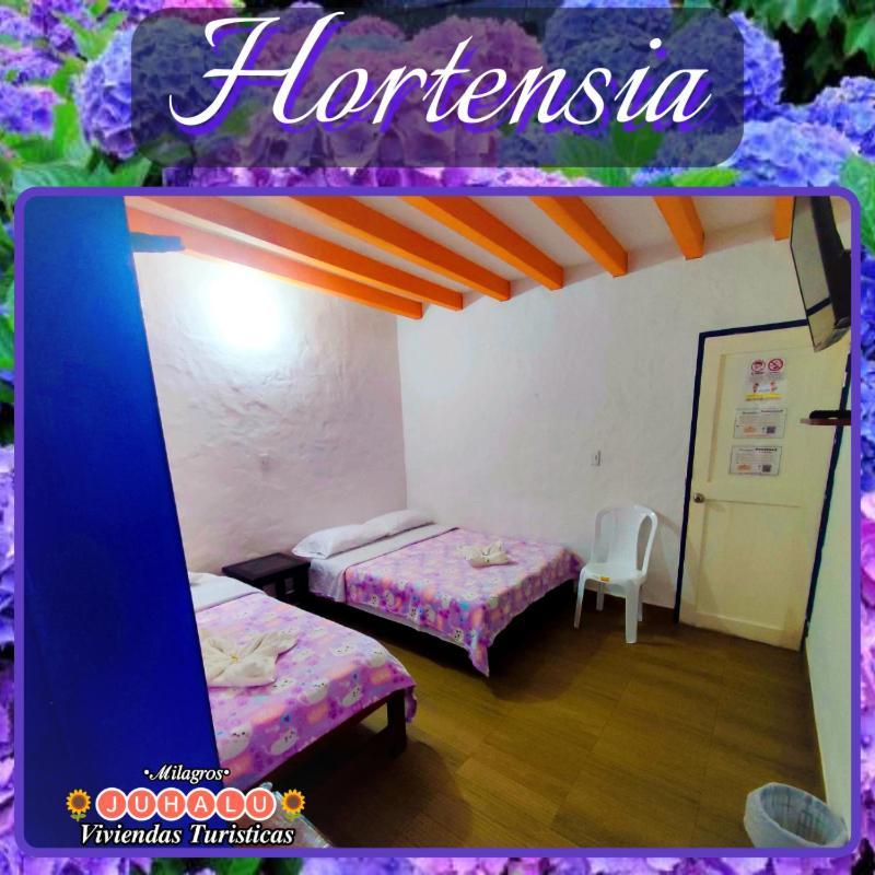ᒍᑌᕼᗩᒪᑌ Hotel Jericoc  Bilik gambar
